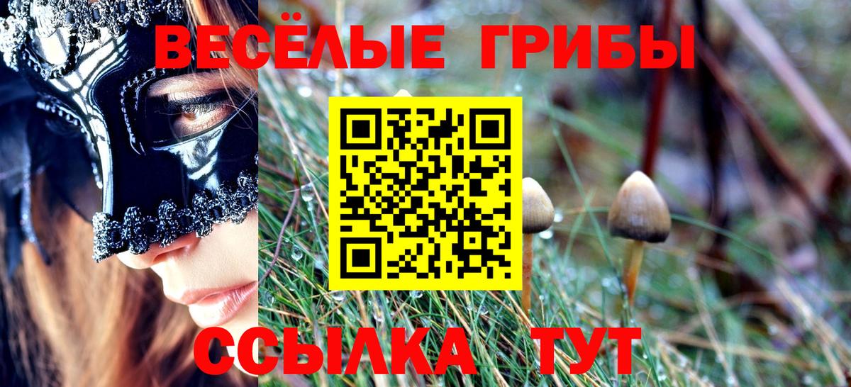 Галлюциногенные грибы мицелий  Вход с VPN  Подольск  Псилоцибиновые грибы Psilocybine cubensis 
